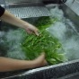 韭菜可以清洗吗？