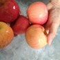 水果清洗机